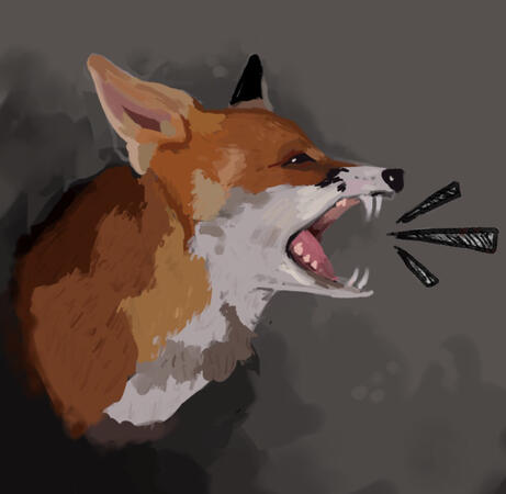 bust shot of a painted fox