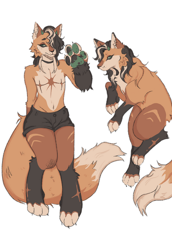 example of a full body furry ref sheet + anthro ref